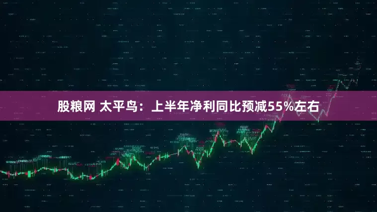 股粮网 太平鸟：上半年净利同比预减55%左右