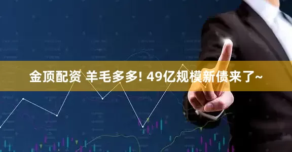 金顶配资 羊毛多多! 49亿规模新债来了~
