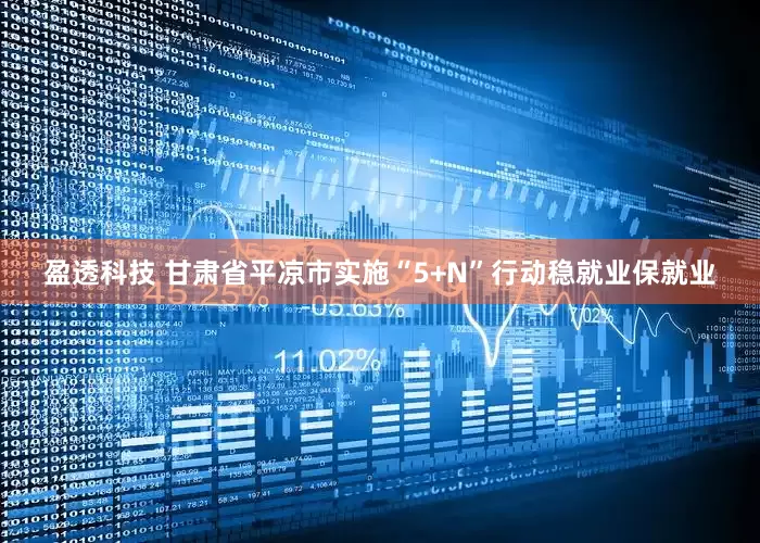 盈透科技 甘肃省平凉市实施“5+N”行动稳就业保就业