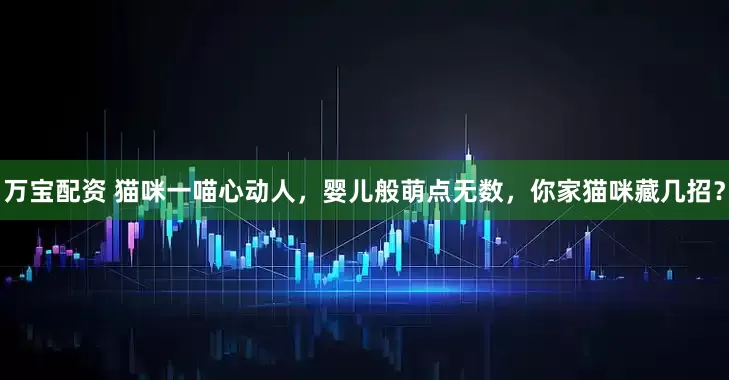 万宝配资 猫咪一喵心动人，婴儿般萌点无数，你家猫咪藏几招？