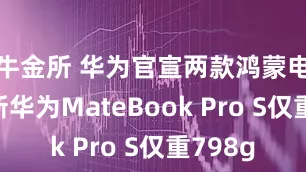 牛金所 华为官宣两款鸿蒙电脑 全新华为MateBook Pro S仅重798g